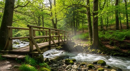 A rustic wooden bridge crosses a clear, flowing stream in a sundappled green forest