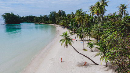 Discover the natural beauty of Koh Kood Island with pristine beaches and lush palm trees