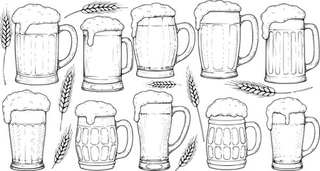 Collection of Hand Drawn Beer Mugs and Wheat Stalks
