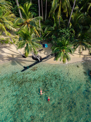 Relaxation in crystal clear waters at Koh Kood Island, Thailand under swaying palm trees