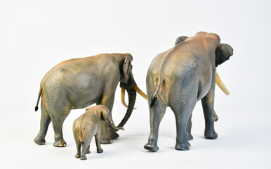  Stegodon animal on isolated background