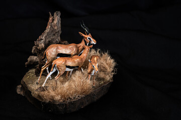 Thomson's gazelle animal on isolated background