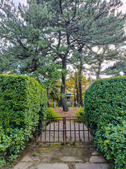 serene view of a small, traditional Japanese stone lantern toro nestled among a cluster of tall, majestic pine trees