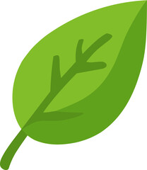 Obraz premium Simple flat illustration of a green leaf with visible veins, symbolizing nature, ecology, environment, and plant life.