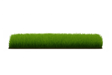 Rolled up green grass turf on transparent background creating a fresh lawn or gardening concept