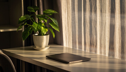 Warm, sunlit home office with a laptop and potted plant on a minimalist desk. The soft light filters through sheer curtains, creating a calm and productive work environment