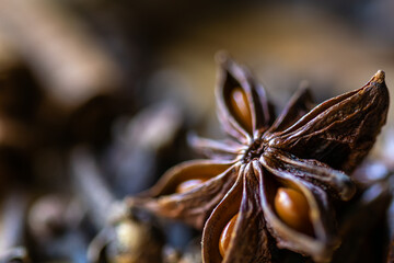 Intricate Spices: Star Anise, Nutmeg, Clove, and Cinnamon Sticks