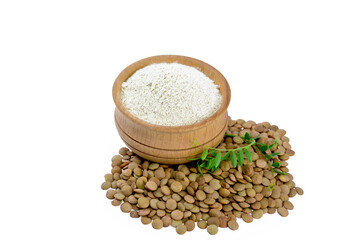 Flour lentil in bowl with legume