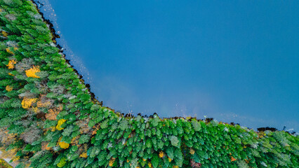 Bird's-eye view of the shores of a lake surrounded by forest in autumnal colors