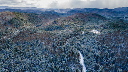 Aerial view of mountains covered in a snow-covered spruce forest and crossed by a forest road