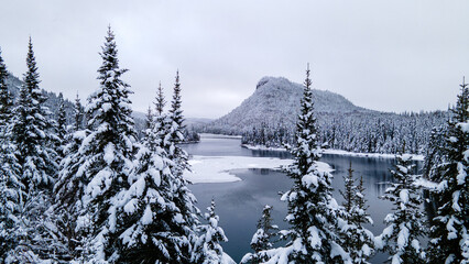 View through snow-covered trees of a partially frozen lake surrounded by mountains on a winter day