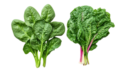 Two bunches of fresh spinach leaves isolated on transparent background