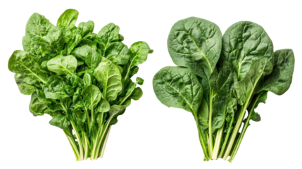 Fresh turnip greens and mustard greens overhead two sets side by side on transparent background