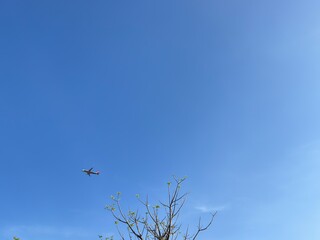 Airplane soars through vibrant blue sky above budding tree branches, embodying travel, freedom, and new beginnings on a clear sunny day