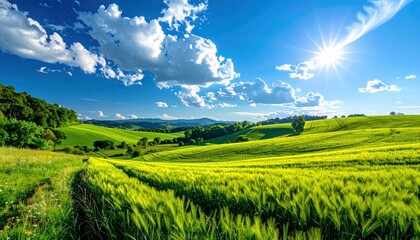 Fototapeta premium A picturesque landscape of lush green rolling hills, a field of tall grass, and a bright sun in a blue sky with clouds.