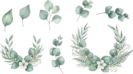 Watercolor illustration of eucalyptus leaves and floral arrangements on white background