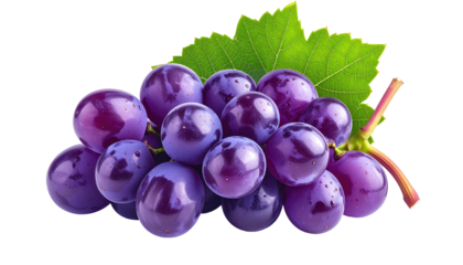 A close-up studio shot showcases a cluster of plump, purple fruit with a single green leaf and stem against a black backdrop