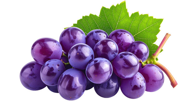 A close-up studio shot showcases a cluster of plump, purple fruit with a single green leaf and stem against a black backdrop - Powered by Adobe