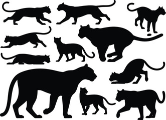 Black cat silhouette collection, feline poses, walking, running, crouching, stalking, graceful motion, animal shape, vector, isolated, design element