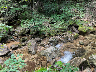 奥の滝から流れる川。広島県安芸太田にある龍頭峡。