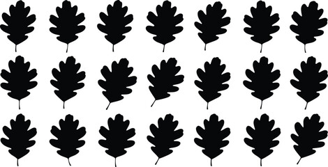 Oak leaf silhouette grid, black vector illustration, botanical shape repetition, foliage pattern design, nature concept, educational comparison layout