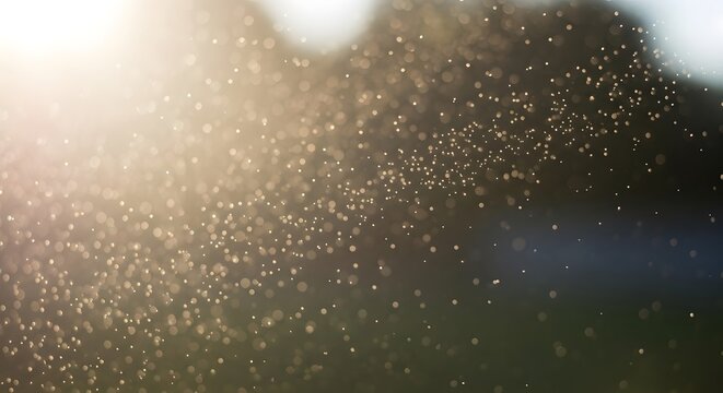 Abstract view of insects flying in sunlight with green background blurred and bokeh effect created - Powered by Adobe