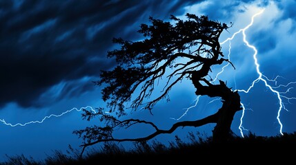 superego. A lone tree bent by strong winds during a stormy night with dramatic lighting. ESG reports, sustainability campaigns, designed for sustainability communications and ESG reporting.