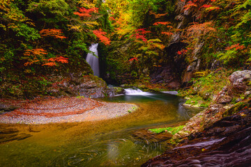 散りばめられた紅葉と滝の流れ