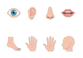 Human Body Parts and Five Senses Cartoon Icons Set.
