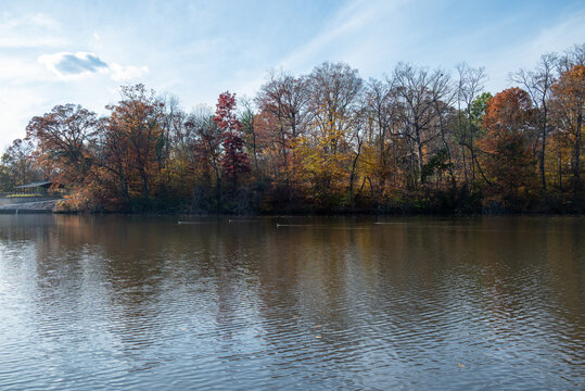 Fall Leaves over Pond