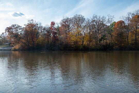 Fall Leaves over Pond