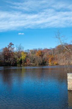 Fall Leaves over Pond