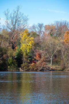 Fall Leaves over Pond