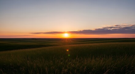 Naklejka premium Golden sunset over a field peaceful rural landscape perfect for travel and nature themes