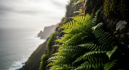 Lush green ferns growing on a coastal cliff overlooking the ocean creating a natural and scenic landscape