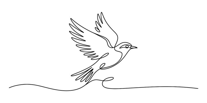Continuous line drawing of a bird in flight, capturing the essence of freedom and movement in a minimalist and elegant artistic style