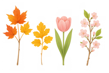 Changing seasons botanical elements with autumn leaves and spring flowers featuring a pink tulip and cherry blossoms