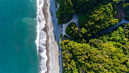 Aerial view reveals a scenic coastline with a forest and a beach