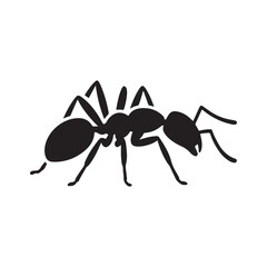 ant isolated on white background. vector eps 10