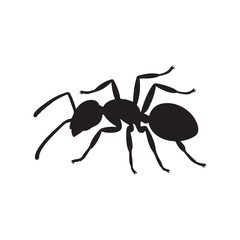 ant isolated on white background. vector eps 10