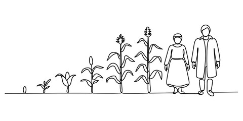 Continuous line art illustration of corn plant growth stages from seed to mature crop, with male and female farmers standing nearby.