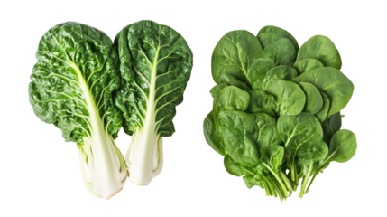 Two types of leafy green vegetables isolated on transparent background