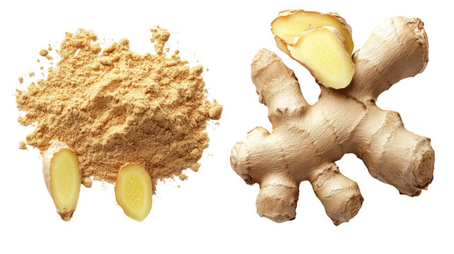 Fresh ginger root and ground ginger spice isolated on transparent background