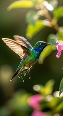 Obraz premium Hummingbird in Flight - A Vibrant Encounter with Natures Beauty.