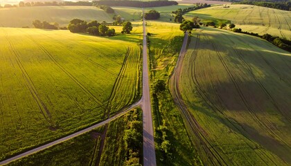 Aerial view of intersecting roads through green fields during the golden hour