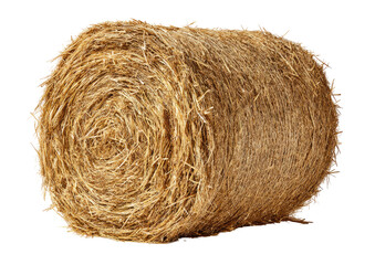 Round hay bale, tightly compressed, brown and golden