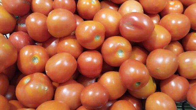 Tomato sell in the market
