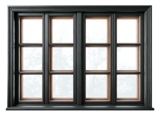 Elegant black framed window with divided pane views
