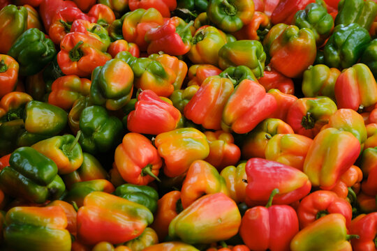 A vibrant pile of red, green, and orange bell peppers displayed on a market stall