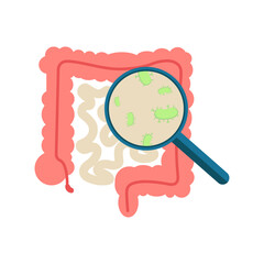 Isolated illustration of the intestinal organ and bacteria inside it seen through a magnifying glass for advertising, banners, healthcare education images about gut health in healthcare facilities.
